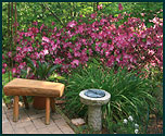 garden bench